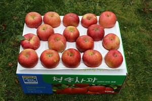 ���10kg (33~35��)