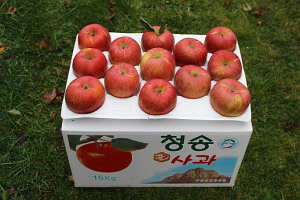 ���15kg (39��)
