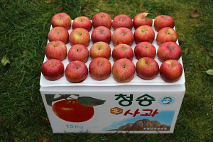���15kg (71~73��)
